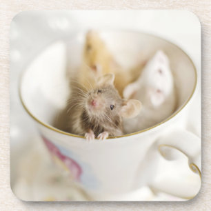 Three Little Mice Coaster