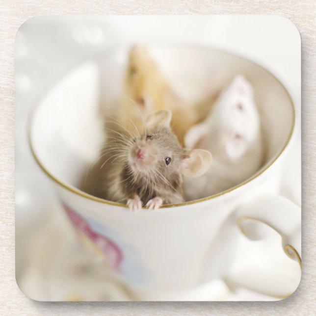 Three Little Mice Coaster (Front)