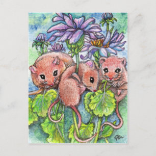 Three Little Mice Postcard