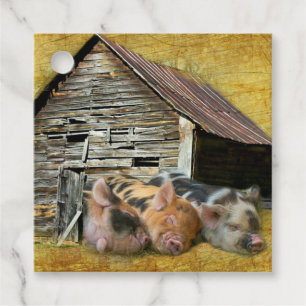 Three Little Pigs At The Rustic Barn Snoozing Favour Tags