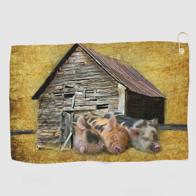 Three Little Pigs At The Rustic Barn Snoozing Golf Towel (Horizontal)