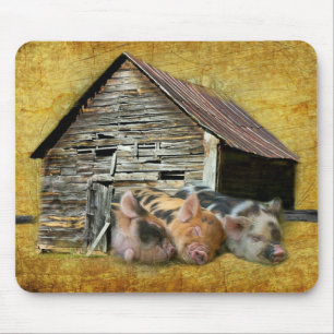 Three Little Pigs At The Rustic Barn Snoozing Mouse Pad