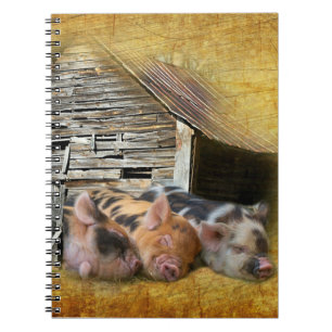 Three Little Pigs At The Rustic Barn Snoozing Notebook