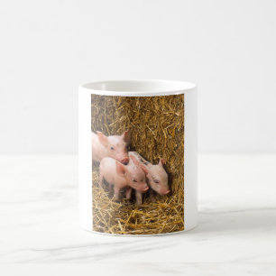 Three Little Pigs Magic Mug