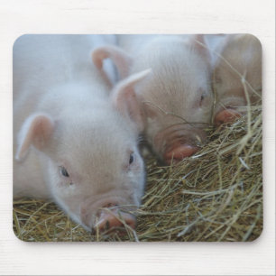 Three Little Pigs Mouse Pad