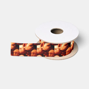 Three Little Pigs Satin Ribbon