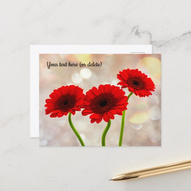 Three Little Red Gerberas Postcard (Front/Back In Situ)