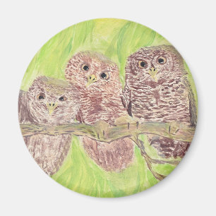 Three Little Scowling Owls - acrylic painting. Magnet