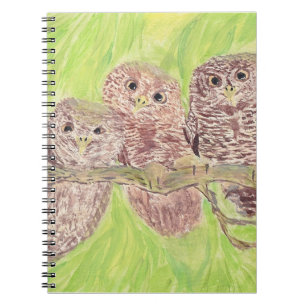Three Little Scowling Owls - acrylic painting. Notebook