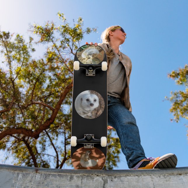Three Meerkat Photos, Complete Skateboard (Outdoor 1)