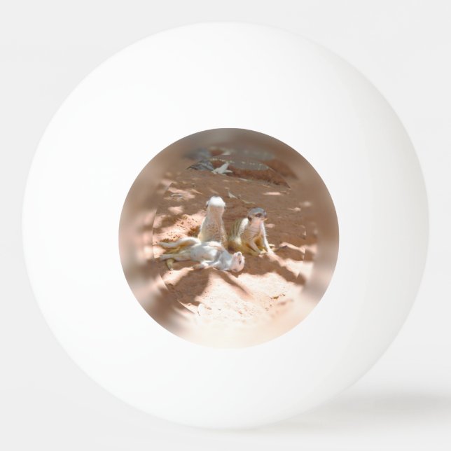 Three Meerkats Fun In The Sun, Ping Pong Ball (Front)