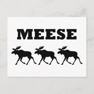 Three Meese Funny Postcard