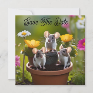 Three Mice In Flower Pots, Save The Date
