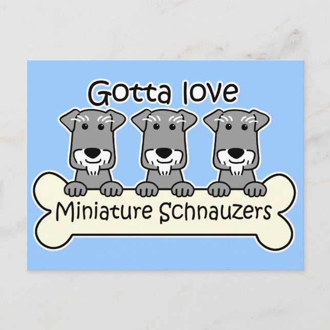 Three Miniature Schnauzers Postcard (Front)