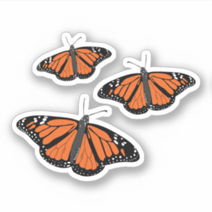 Three Monarch Butterfly