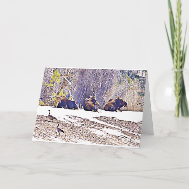 Three Moose, notecard (Front)