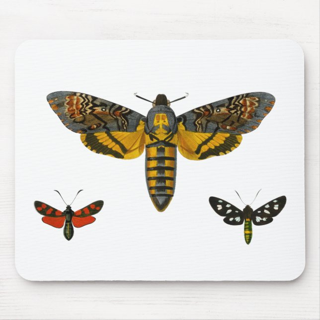 Three Moth Wings Illustration Mouse Pad (Front)
