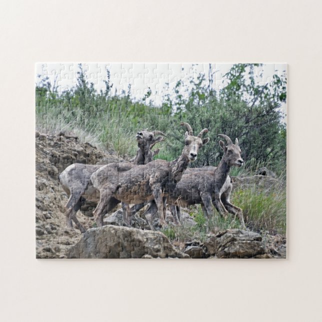 Three Mountain Goats On Rocks Design Jigsaw Puzzle (Horizontal)