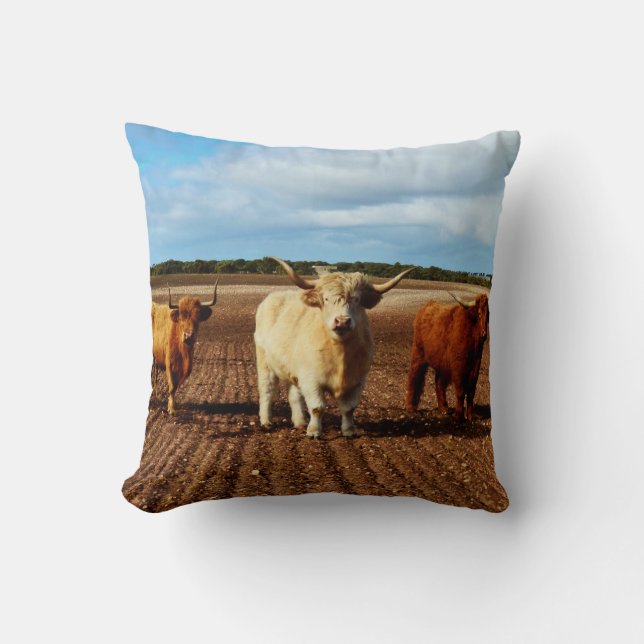 Three Naughty Highland Cows, Throw Pillow (Front)