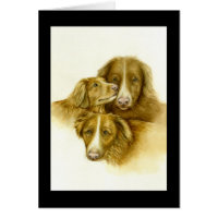 Three Nova Scotia Duck Tolle Retrievers card