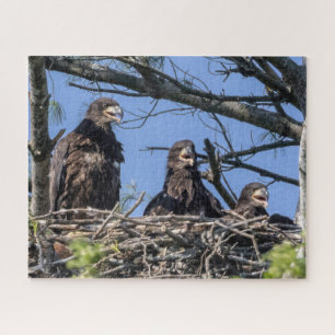 Three Of A Kind Jigsaw Puzzle