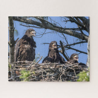 Three Of A Kind  Jigsaw Puzzle