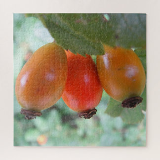 Three orange rosehips jigsaw puzzle