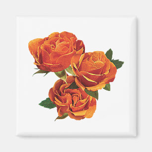 Three Orange Roses Magnet