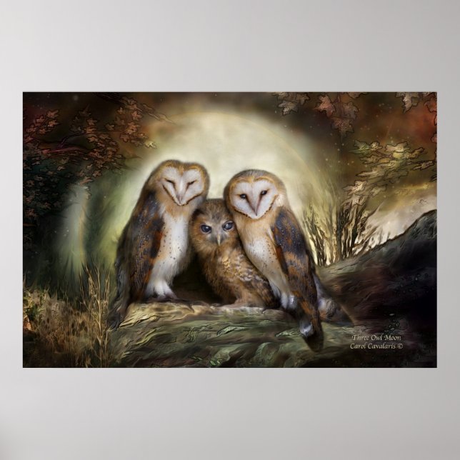 Three Owl Moon Art Poster/Print Poster (Front)