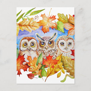 three owls autumn postcard