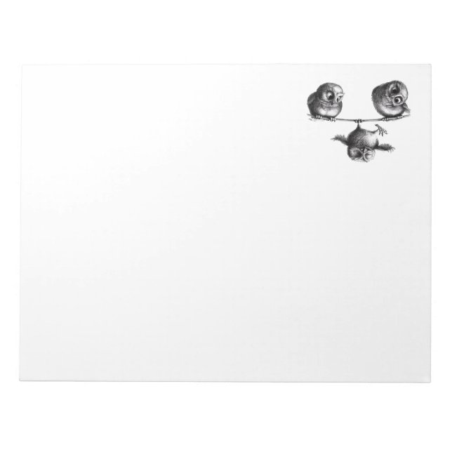 Three Owls - Freedom and Fun Notepad (Front)
