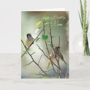 Three Painted Song Birds Birthday Card for Mom