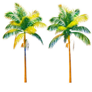 Three Palm Trees T-Shirt