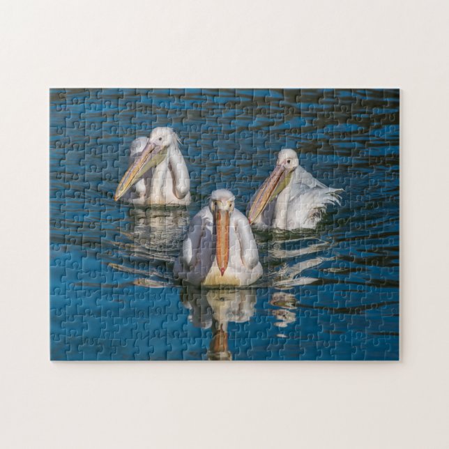 Three pelicans puzzle (Horizontal)