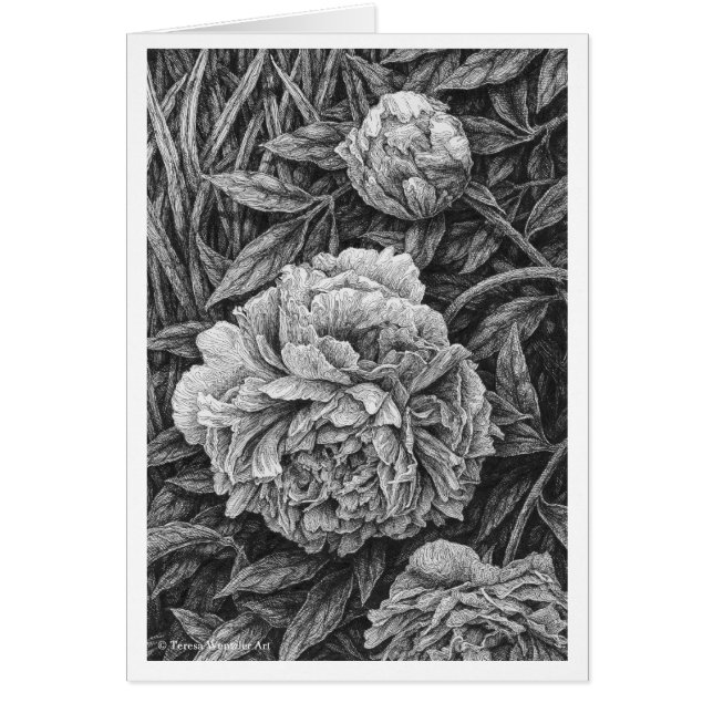 Three Peonies Pen and Ink Drawing Card (Front)