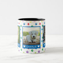 Three Pet Photos Names Blue Colourful Paw Prints