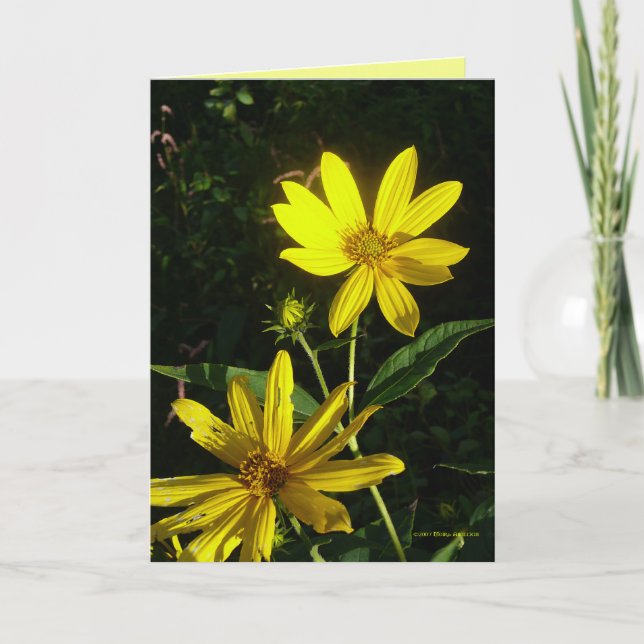 Three Phases Card (Front)