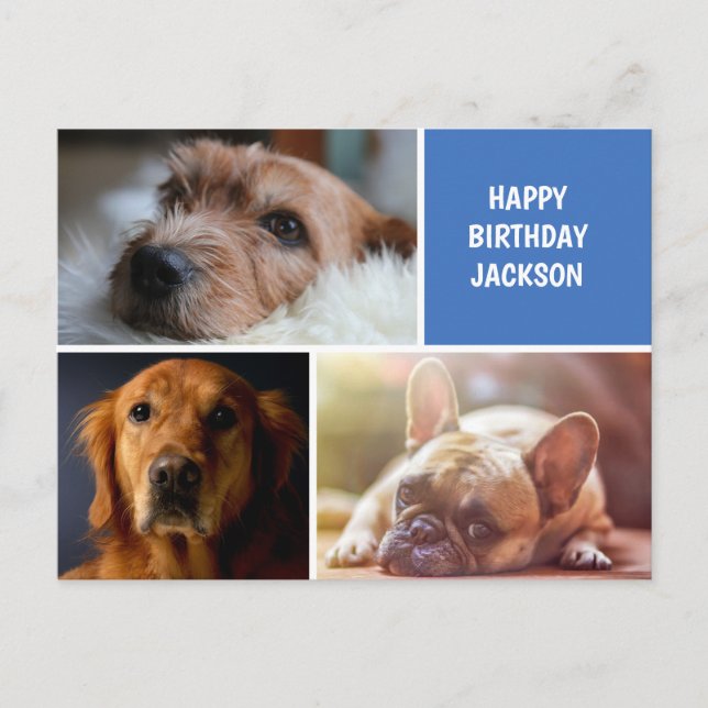 Three Photo Collage Custom Birthday Postcard (Front)