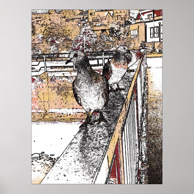 Three Pigeons by Hythe Canal  Poster (Front)