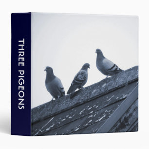 Three Pigeons on a Roof (1.5in) Binder