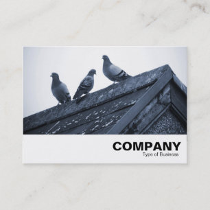 Three Pigeons on a Roof Business Card