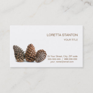 Three pinecones business card