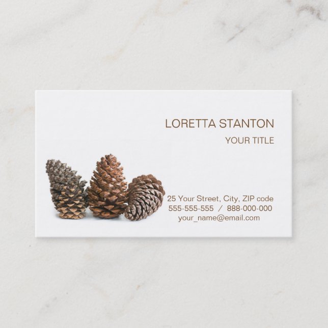 Three pinecones business card (Front)