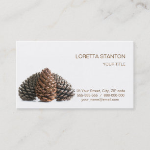 Three pinecones business card