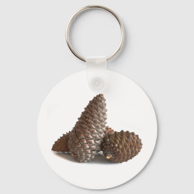 Three pinecones keychain (Front)