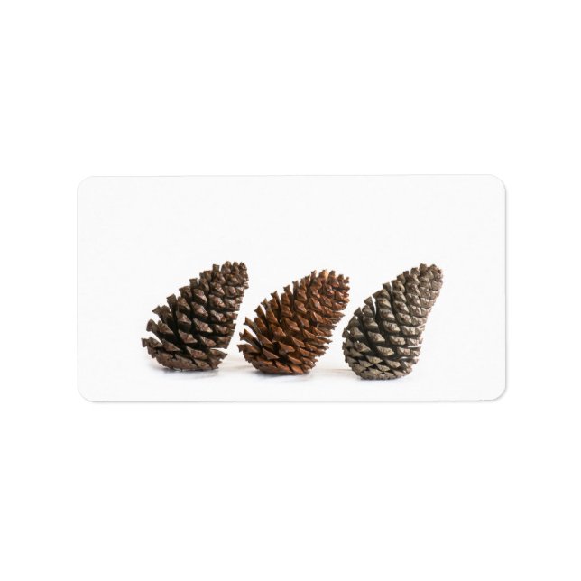 Three pinecones label (Front)