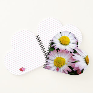 Three pink and white daisies notebook