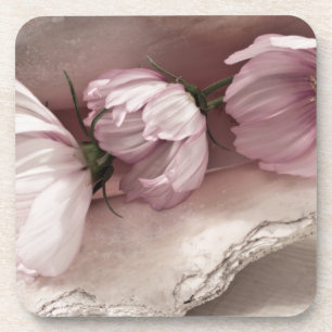 Three Pink Cosmos Coaster