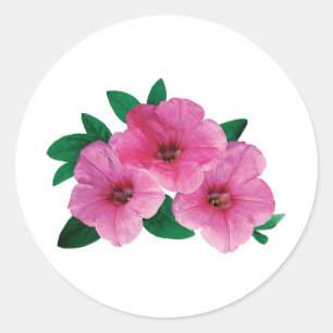 Three Pink Petunias Classic Round Sticker