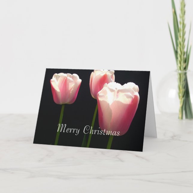 Three pink tulip flowers.  Christmas, holidays. Holiday Card (Front)